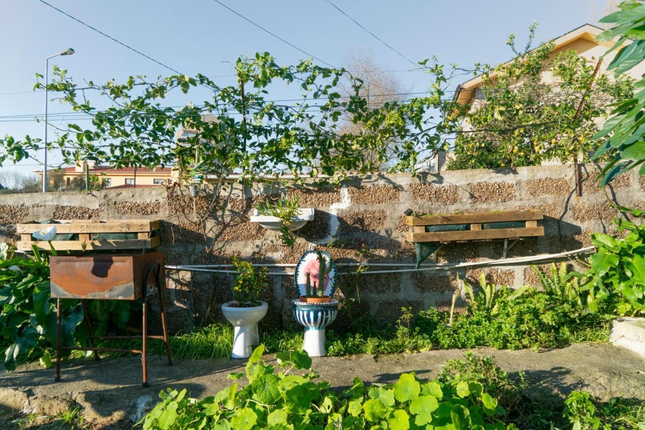 לינה וארוחת בוקר פורטו Growth House מראה חיצוני תמונה